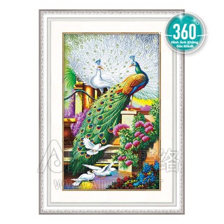 Tranh đính đá 2 con công mã 71418