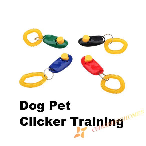 Thiết bị huấn luyện thú cưng có dây đeo cổ tay