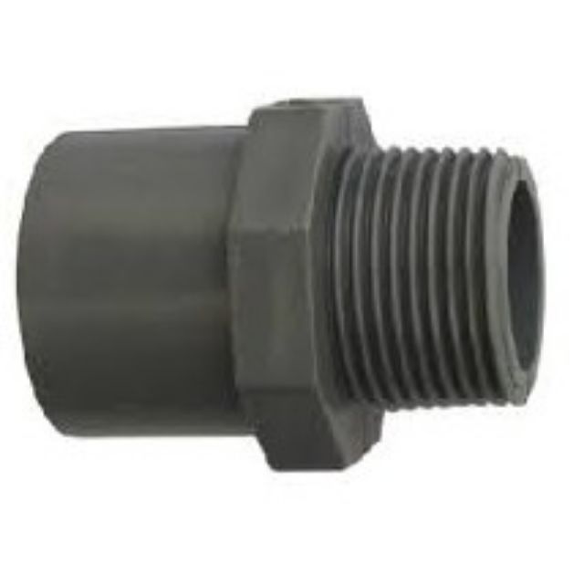 Ren trong_ ren ngoài 21