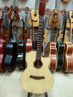 Đàn Guitar Acoutic HD150