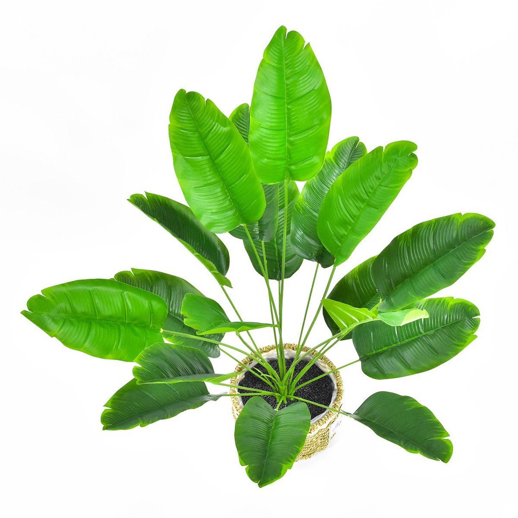 Cây Cọ Giả Cỡ Lớn 32 &quot;Trang Trí Phòng Khách