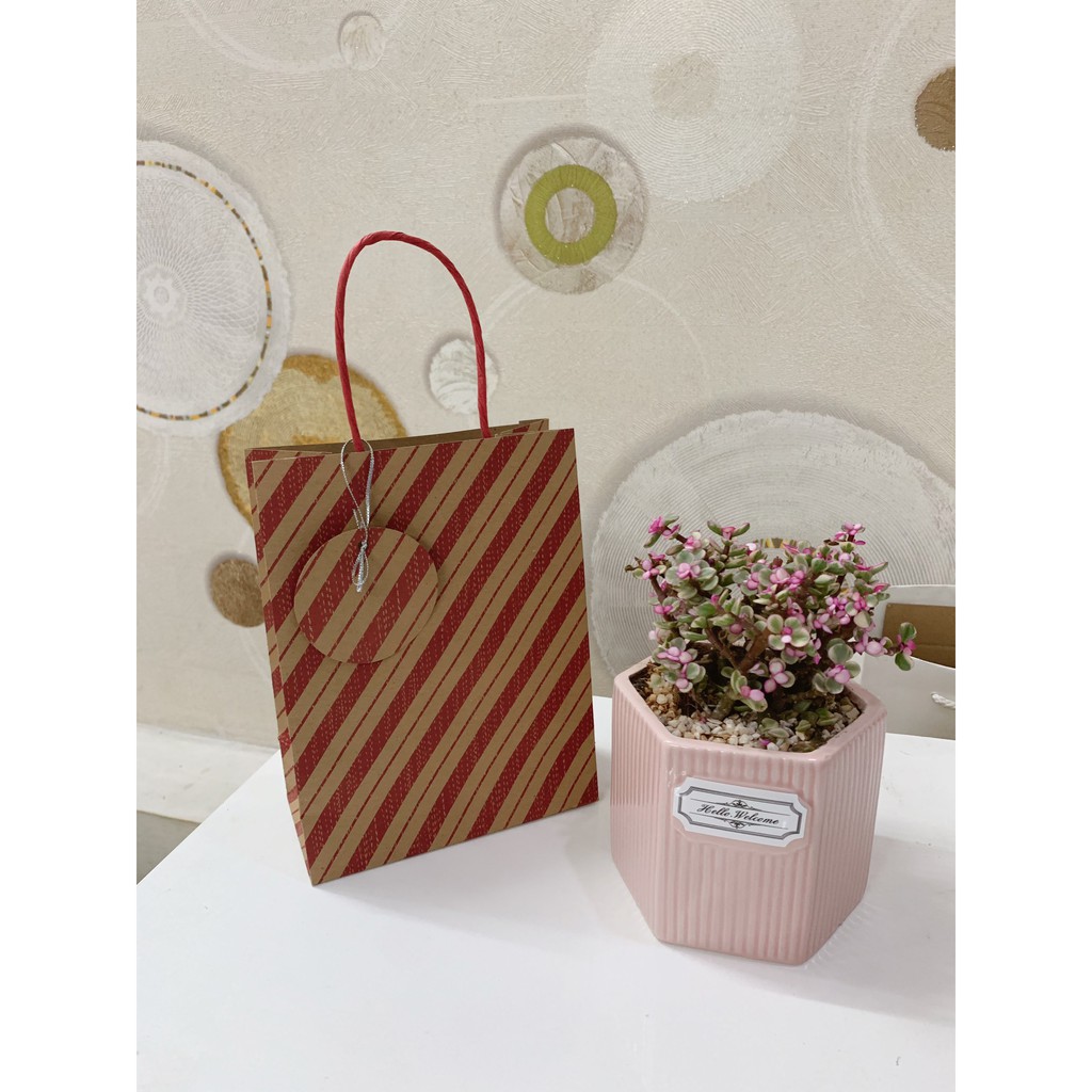 Túi quà tặng họa tiết - Túi Giấy Đựng Quà | BigBuy360 - bigbuy360.vn