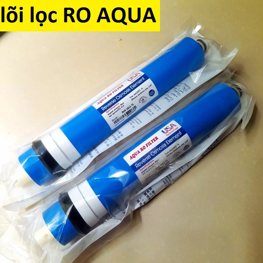 Lõi lọc ro - màng lọc ro - quả lọc số 4