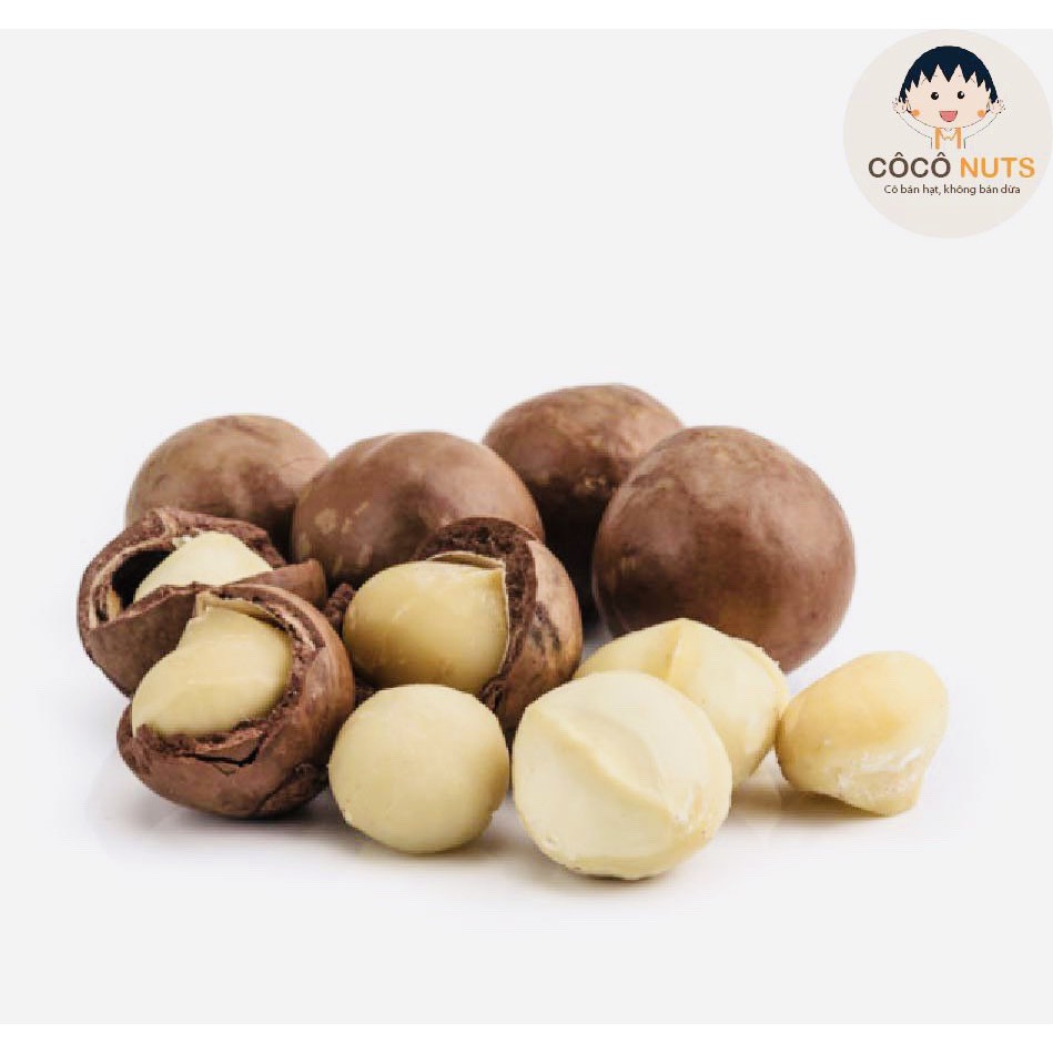 Hạt Macca CÔCÔ NUTS Size Trung GIÒN NGON, Nứt Vỏ Tự Nhiên - 500g kèm đồ khui