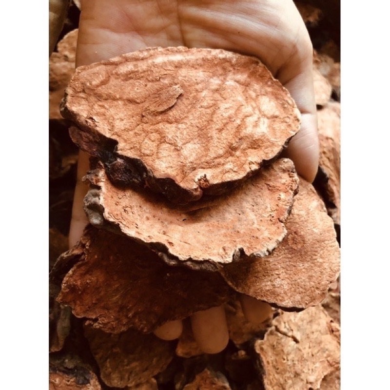 Củ hà thủ ô đỏ chưa sơ chế thái lát sấy khô 1 kg