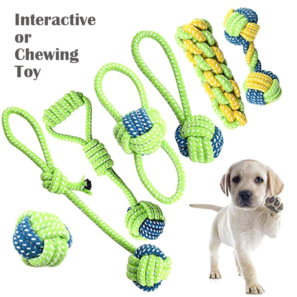 Đồ chơi nhai gặm bằng dây thừng cotton cho cún cưng chơi ngoài trời làm sạch răng TY0076