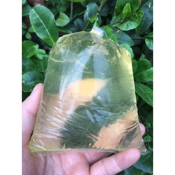 Mạch nha nguyên chất nấu kẹo