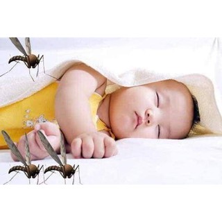 Xịt thảo mộc 10s diệt muỗi, kiến, gián