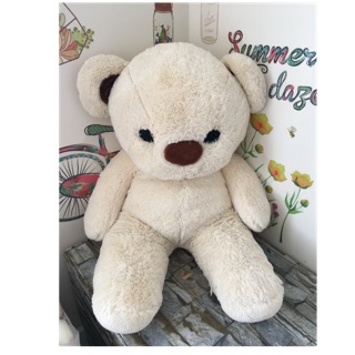 Gấu bông teddy Hàn quốc 80cm siêu mềm