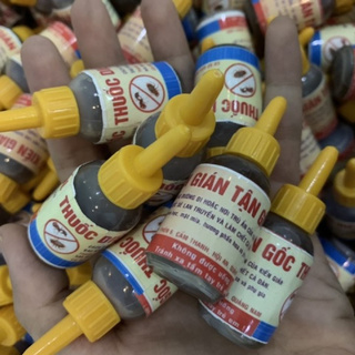 Thuốc Diệt Kiến Gián Sinh Học Tận Gốc, An Toàn, Không Độc Hại (chai 10ml) - Hạt giống Rạng Đông