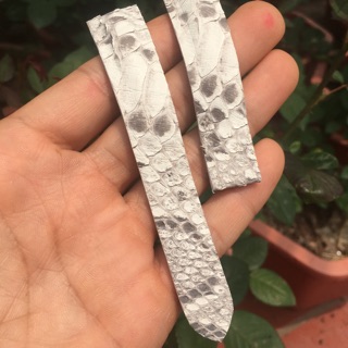 Dây đồng hồ da trăn