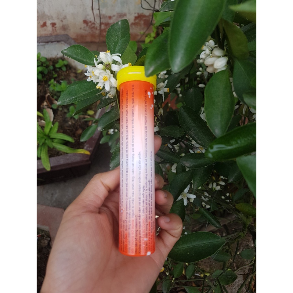 C sủi Doremi ( dành cho trẻ em - Vị ngon Bò Húc)