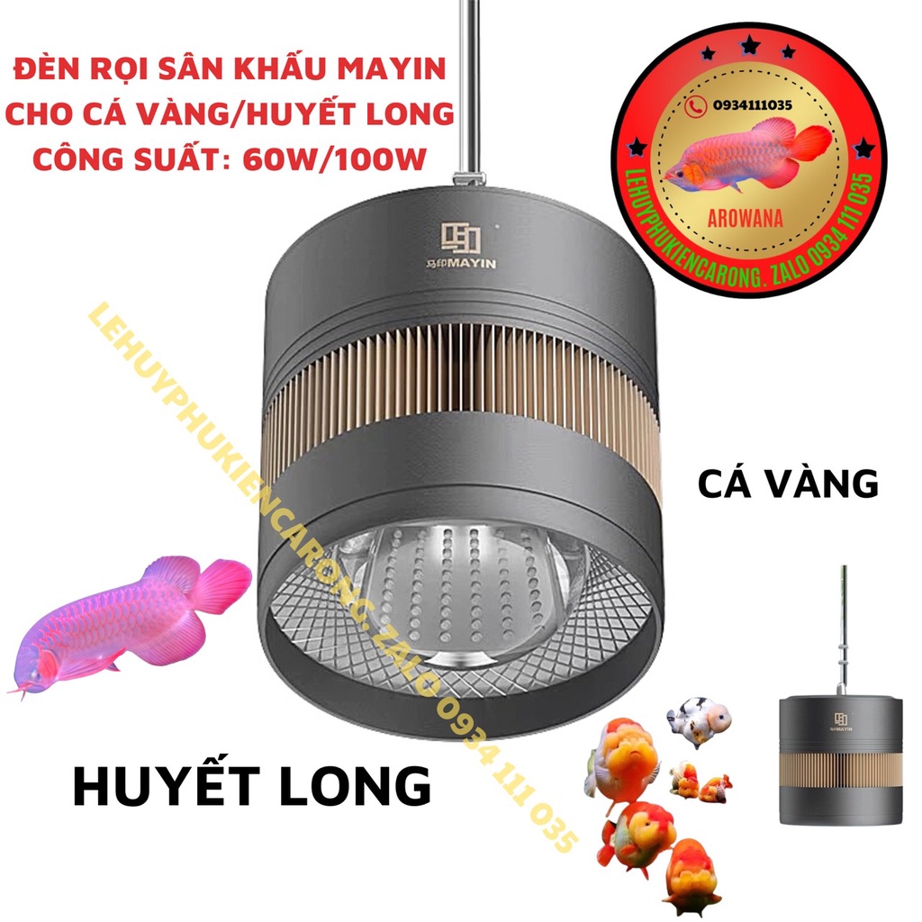 Đèn Rọi MAYIN Cho Huyết Long - Đèn Rọi Cho Cá Vàng Công Suất 60w 100w