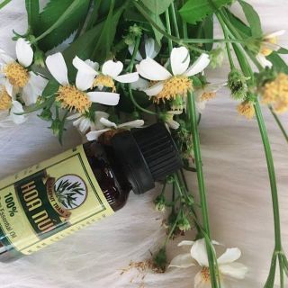 Combo 10c tinh dầu tràm + đèn xông