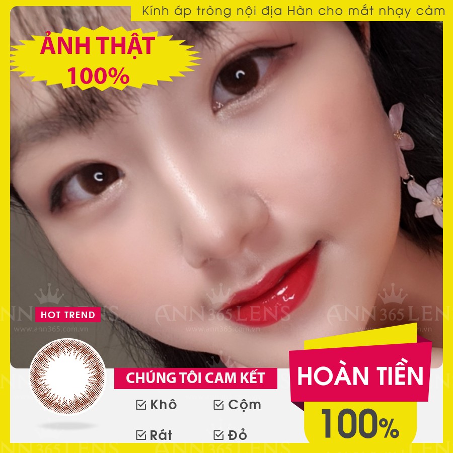 Kính Áp Tròng Màu Nâu Hạt Dẻ ANN365 Hàn Quốc 1 Ngày (10 Chiếc) Ann Silian