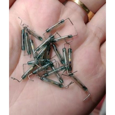 20 chiếc công tắc từ bé 2x10mm