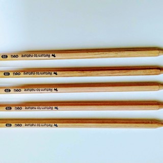 Combo 5 cây bút chì - 2B