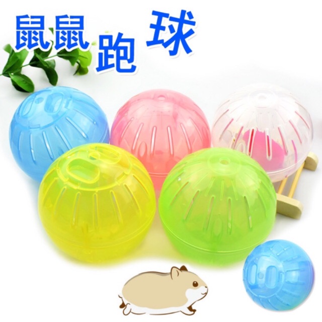 Bóng chạy cho hamster