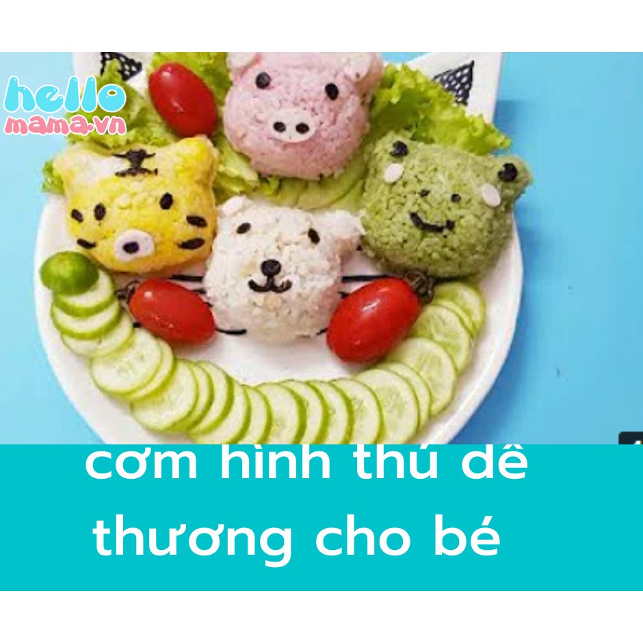 Set 6 khuôn cơm cho bé ăn dặm ngon miệng