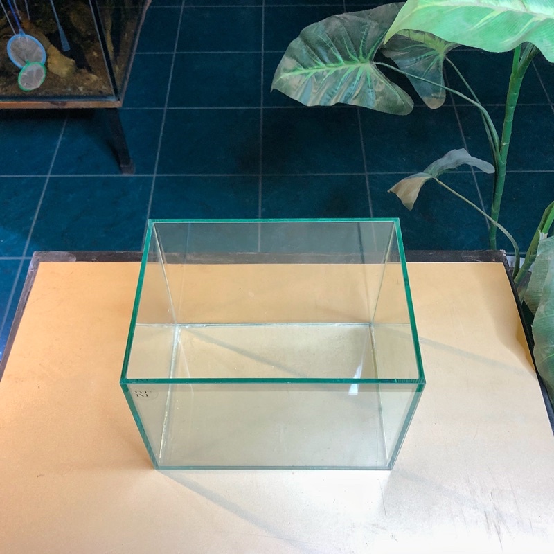 Bể cá mini D20xR15xC15cm dán dấu keo