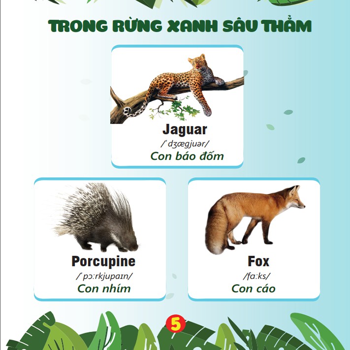 Sách - My First Book Of Animals - Cuốn Sách Đầu Tiên Cho Bé Chủ Đề Động Vật