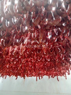 Lạp xưởng Long An 1kg