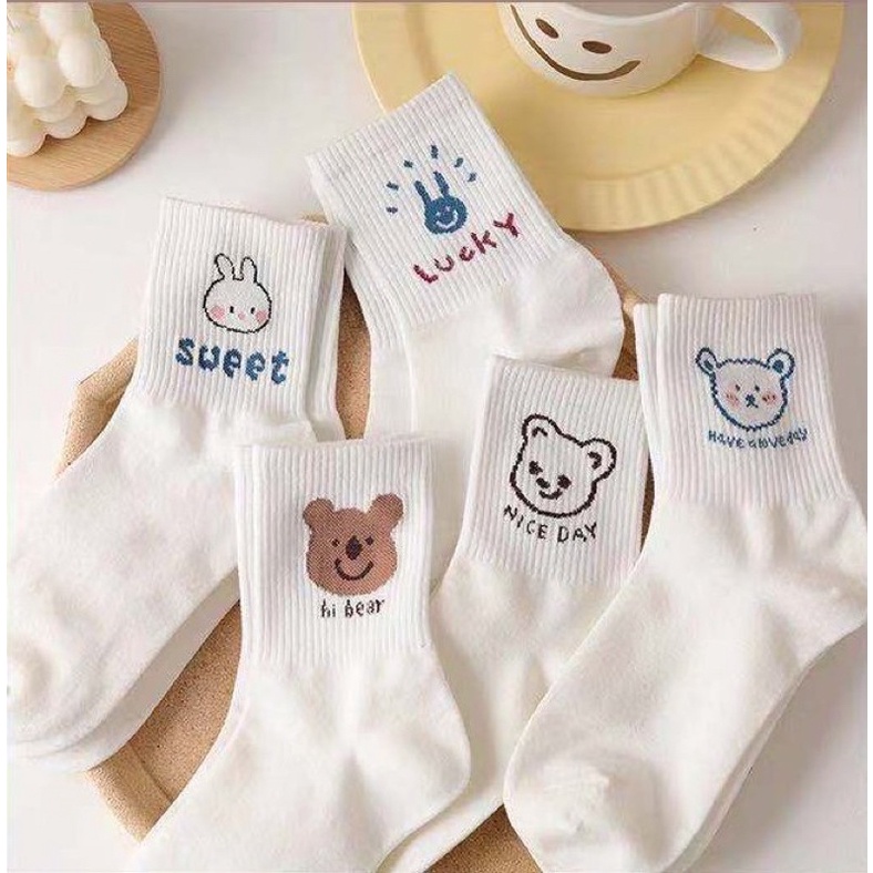 Set 5 đôi tất cute nhiều hình đi mùa đông