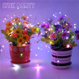 Đèn Fairy Light 3m