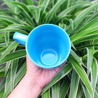 Ly gốm sứ tráng men