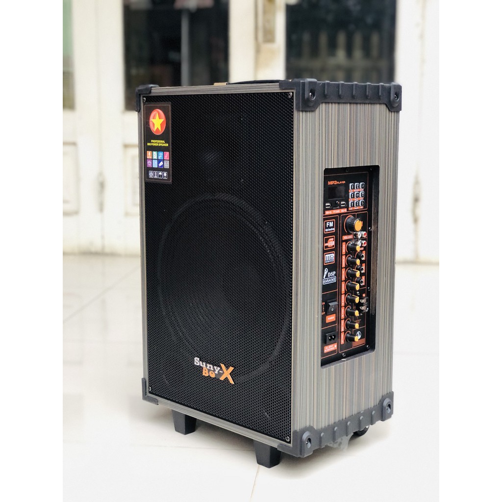 Loa Kéo BASS 30 vỏ gỗ , 2 Micro Không Dây Hút Âm , Mạch Delay Cao Cấp