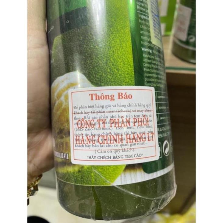 Dầu gội cặp BƯỞI -Grapefruit 850ml