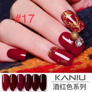 Set sơn kaniu đỏ đô #17