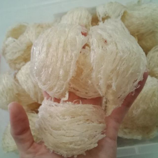 100gr yến sơ chế (rút lông) nguyên tổ(10 đến 11 tổ) (ảnh thật chụp tai cửa hàng)