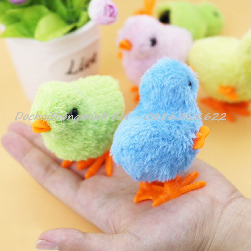 Gà con biết nhảy cho bé cười vui cả ngày