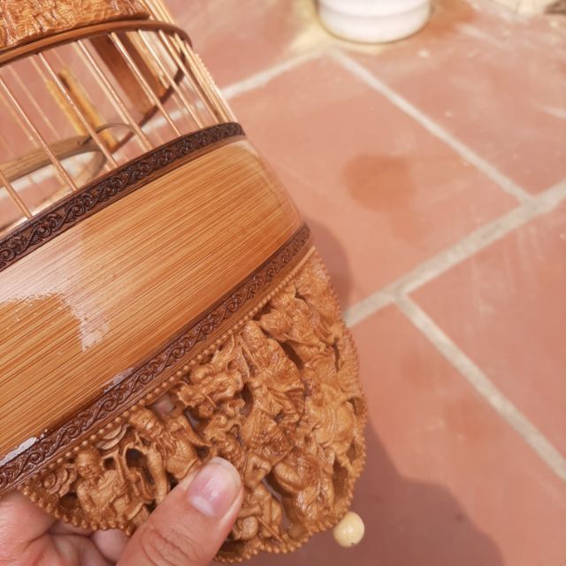 Lông khuyên tích bát tiên