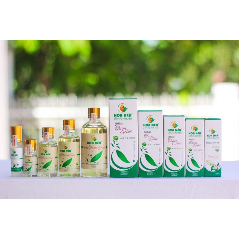 Tinh dầu tràm huế Hoa Nén giữ ấm, phòng cảm muỗi đốt kiến căn cho bé lọ 50ml và 100ml