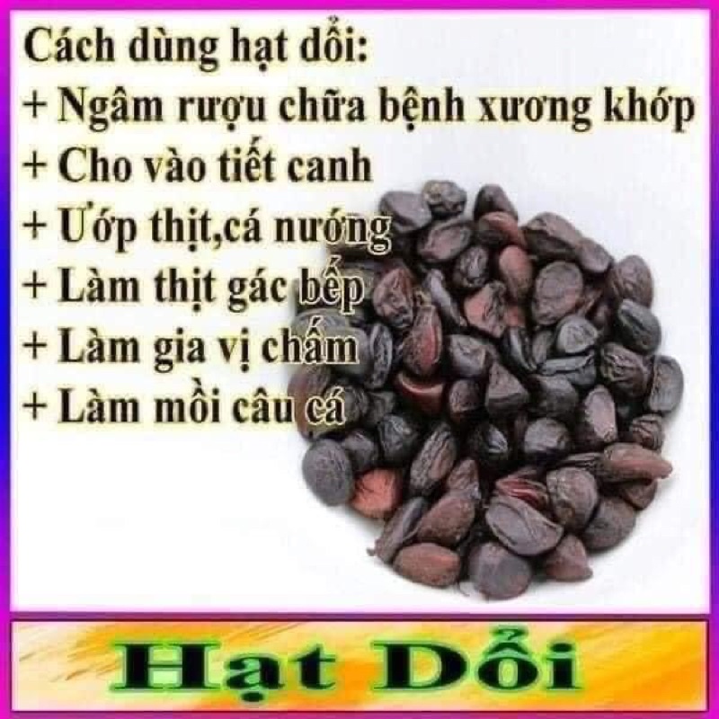 Hạt Dổi Nếp [ NỮ HOÀNG GIA VỊ TÂY BẮC ]