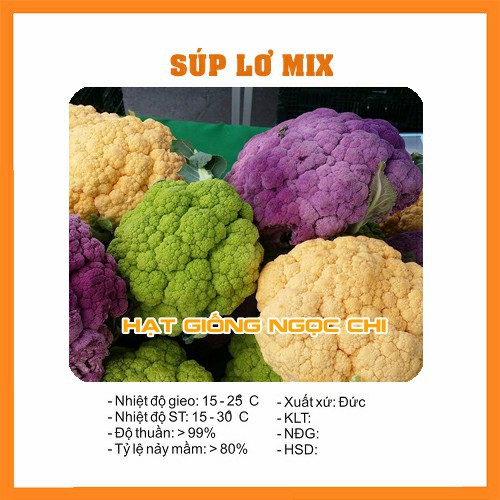 Hạt Giống Rau Súp Lơ Mix - 20 Hạt