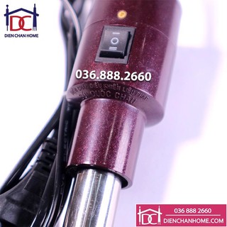Ngải cứu điện Diện Chẩn