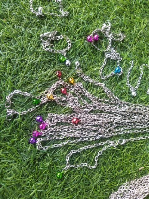 Dây xích lớn, bản to dành cho sóc đất, sóc bông tập ăn