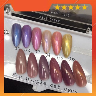 [Xả kho thanh lý] set 06 chai sơn gel mắt mèo as, sơn as mắt mèo chai đen giá sập sàn