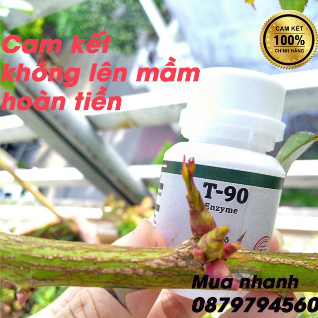 [Tặng xi lanh] Kích mầm T90 ⭐Freeship⭐ Bôi Đâu Lên Mầm Ở Đó