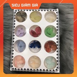 set hoa khô trang trí