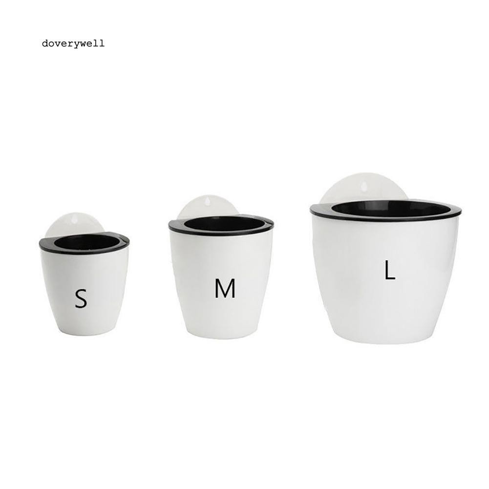 Chậu hoa treo tường trang trí sáng tạo