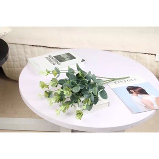Cụm lá táo mốc