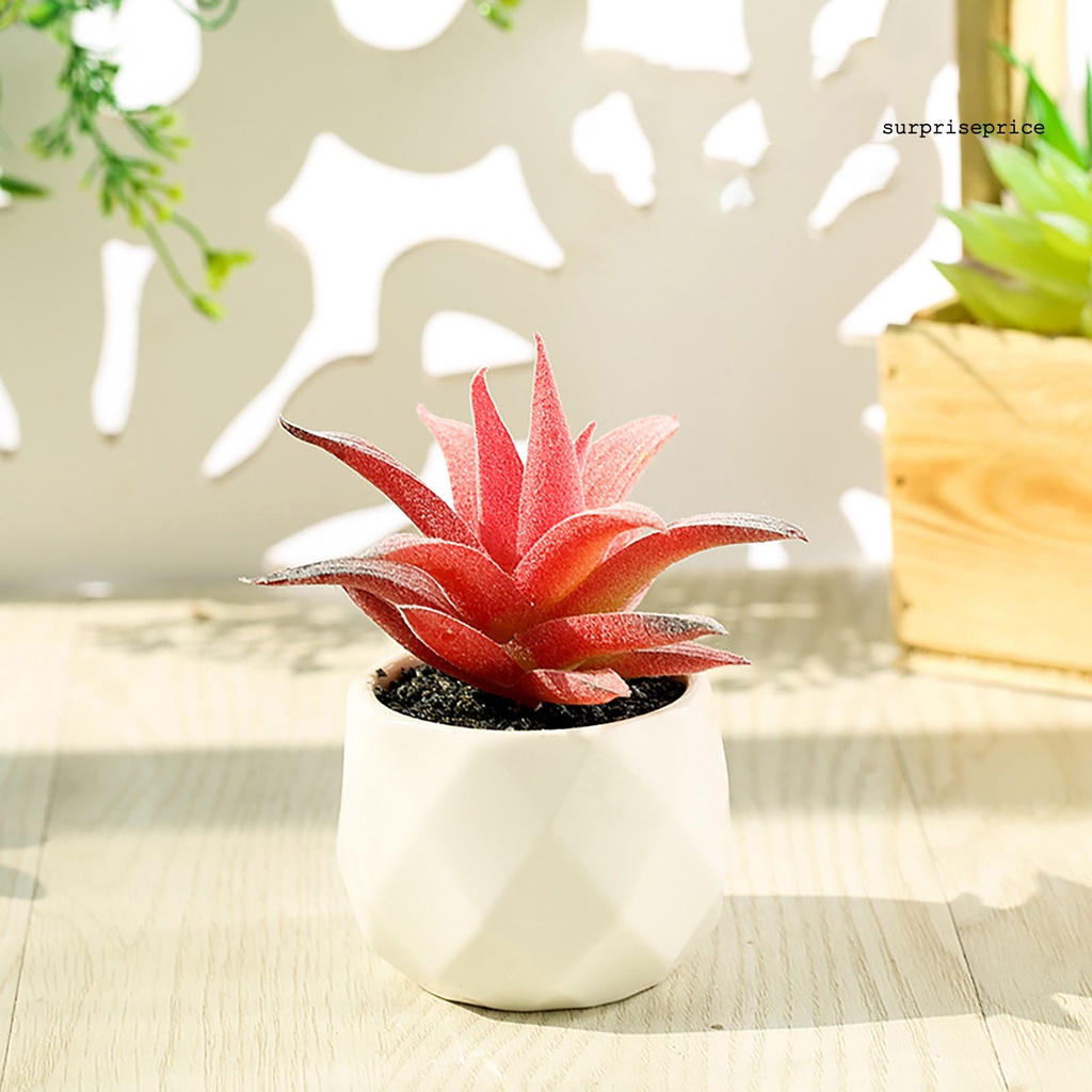 Chậu cây sen đá giả mini nhiều màu sắc trang trí nhà cửa