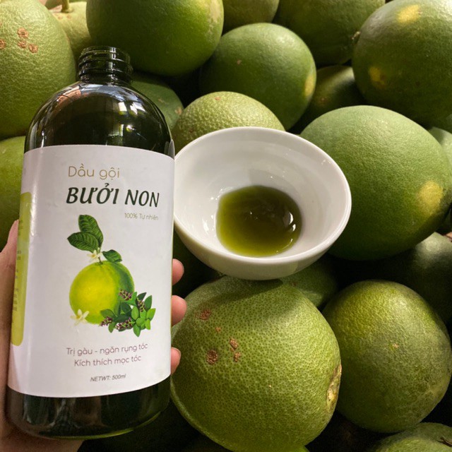 Dầu gội bưởi non kích thích mọc tóc, phục hồi tóc hư tổn chai 480ml