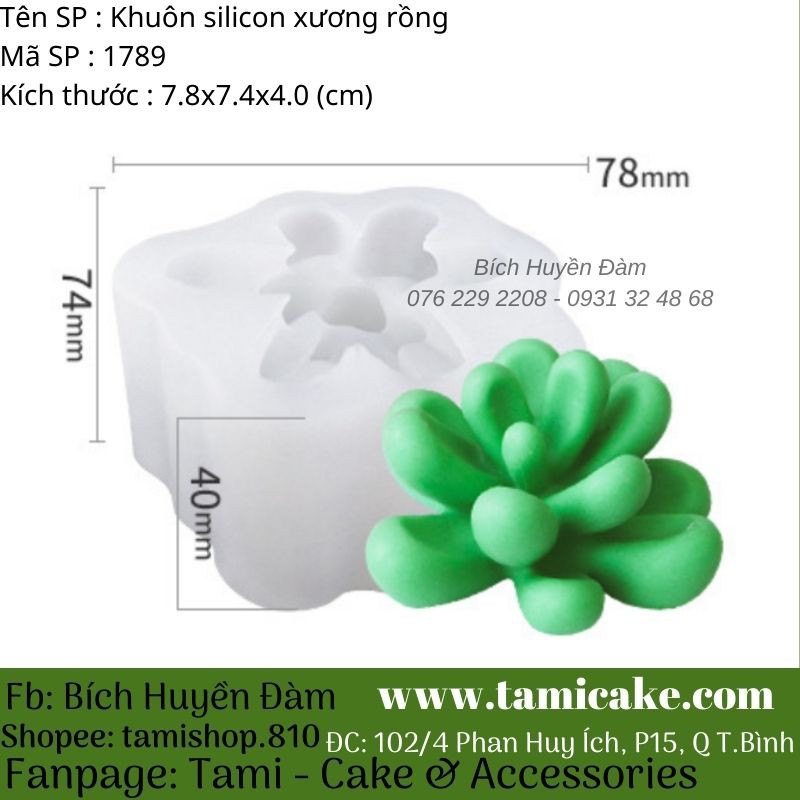 Khuôn silicon 4D xương rồng