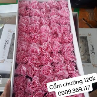 Hoa sáp thơm  (50 bông/ hộp)