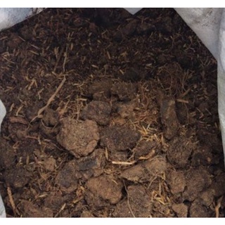 [1kg] Phân bò khô Củ Chi trồng cây